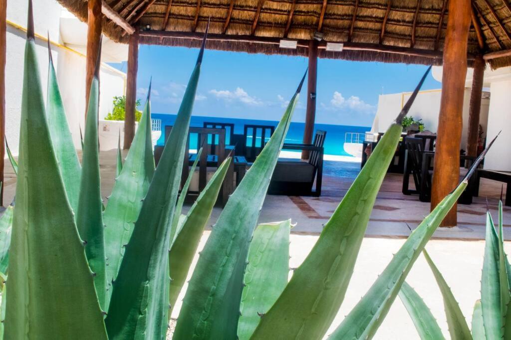 Ocean View Apartment, Best Beach Area, 3 Bedrooms Cancun Exterior photo